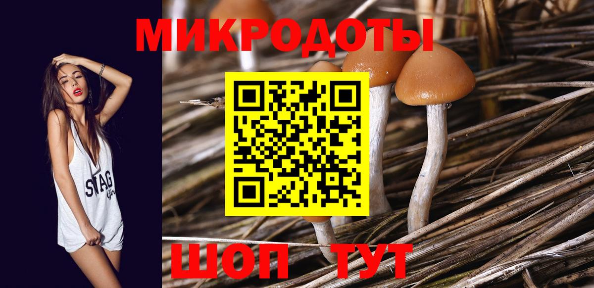 Галлюциногенные грибы Psilocybine cubensis  Вход с VPN  Севастополь 